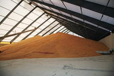 Legacy fabric building