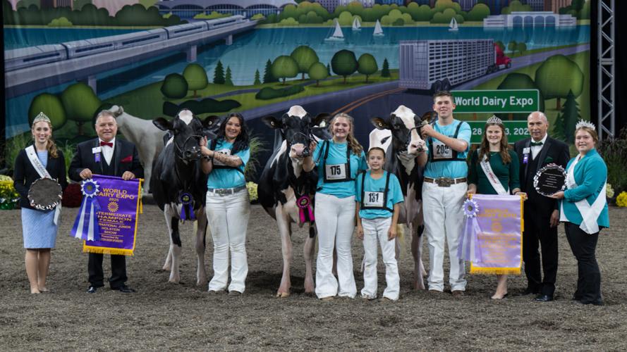 Intermediate Champion 2