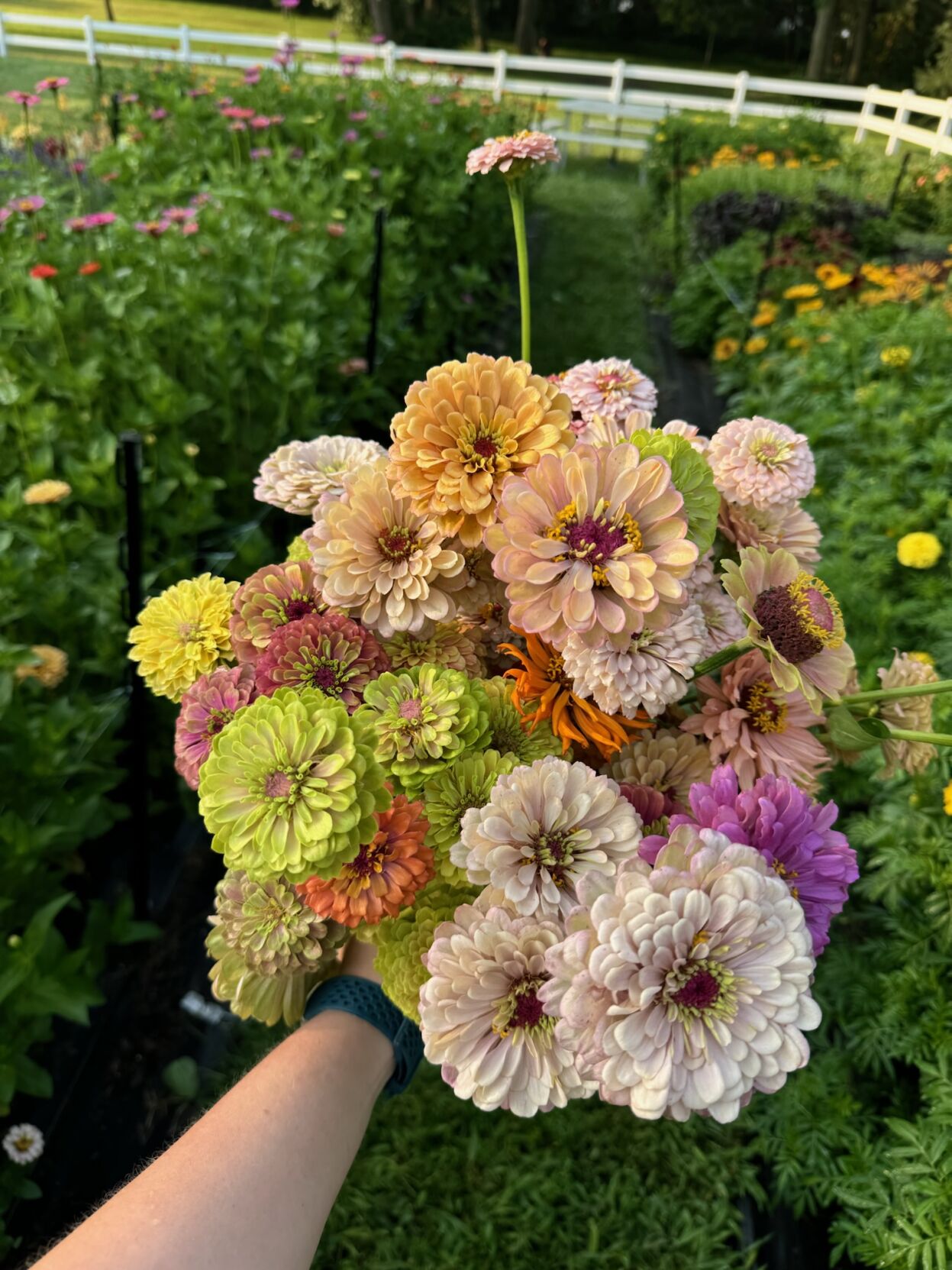 FarmHers Flora 5.jpg