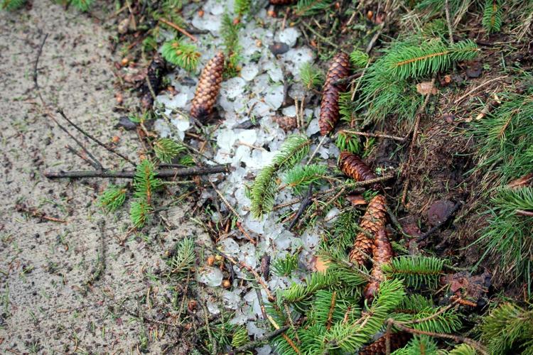 Hailstones in Westby
