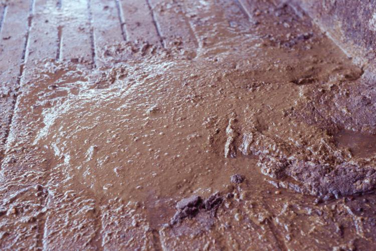 Disease not only cause of diarrhea