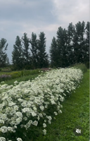 Wild Roots Farm continues to grow by leaps and bounds