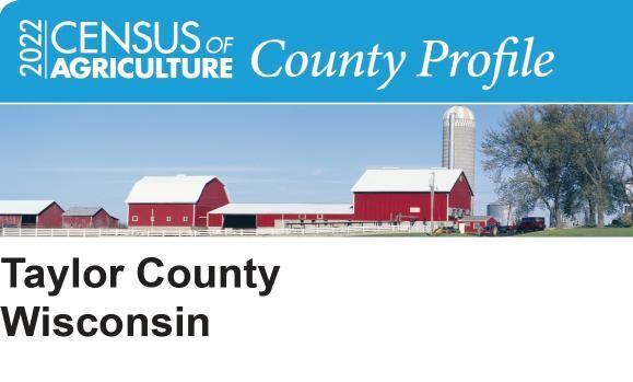 Consider County Census Collection Taylor County Part 1
