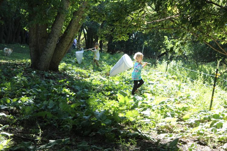Blue Dasher field day (185).JPG
