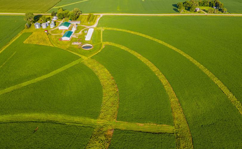 Prairie strips