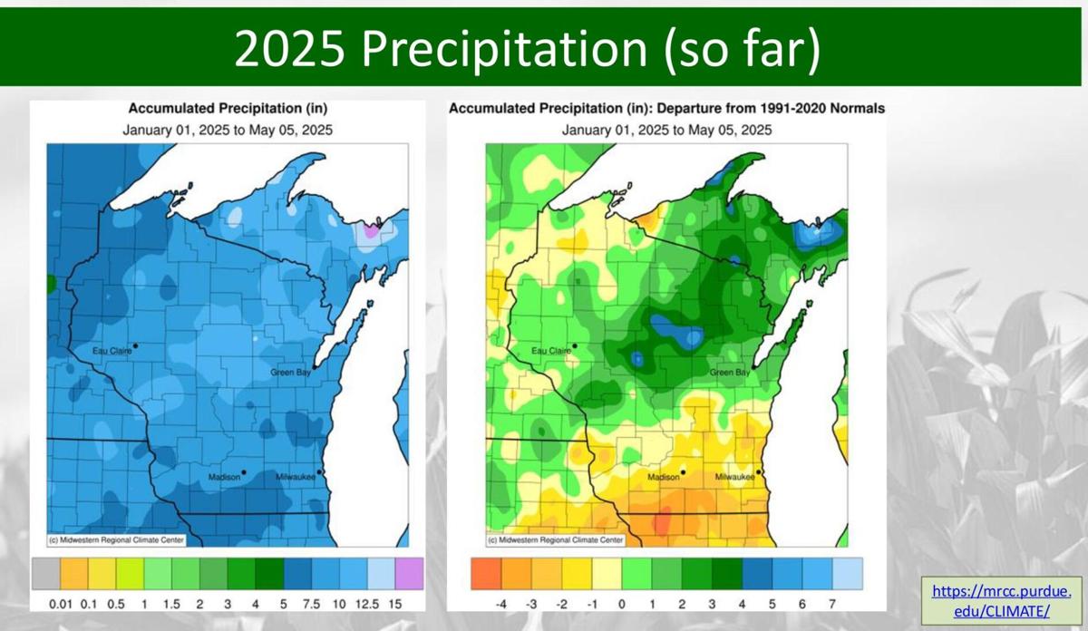 2025 precip