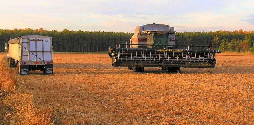 Combine in field