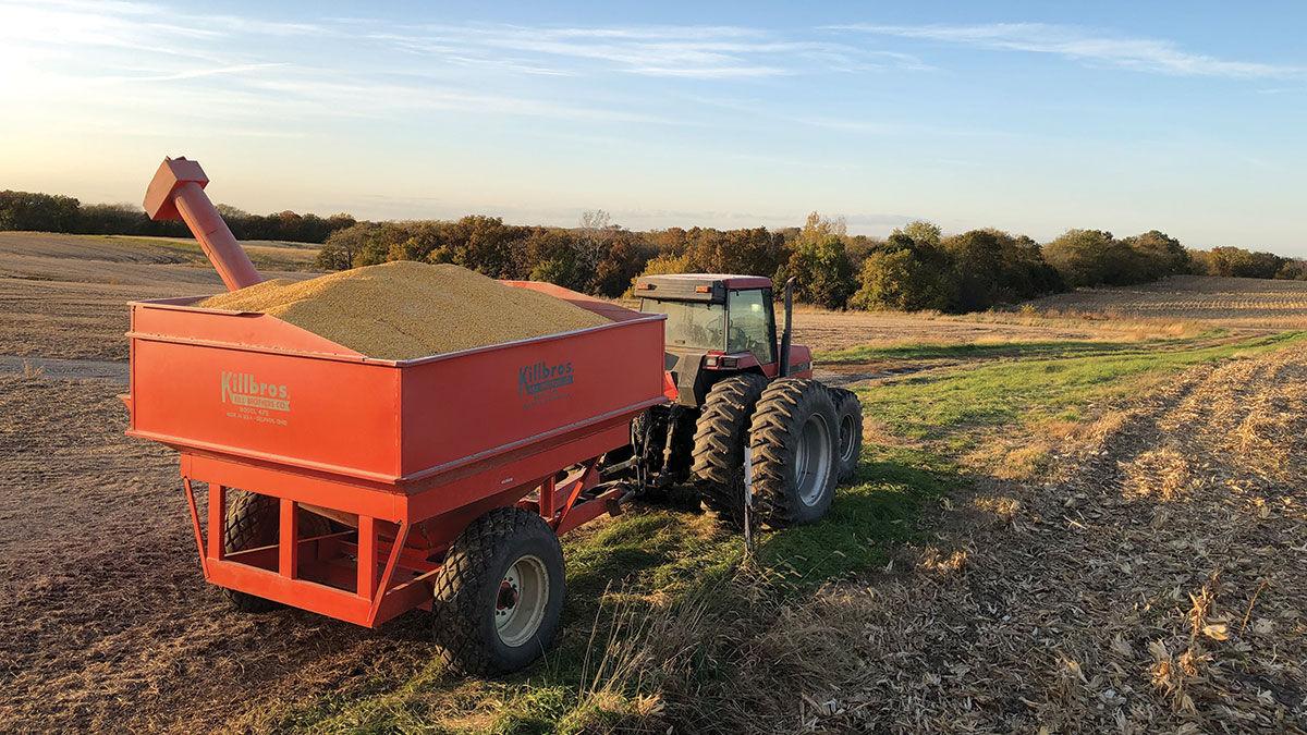 Harvest