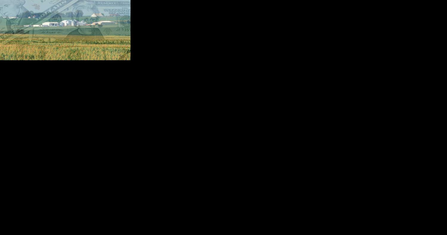 Volatility, dry weather may add to crop prices - Vimarsana News