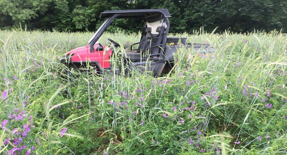 Fuller soil health (7).JPG