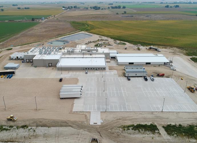 New processing plant seen as boon for sheep industry