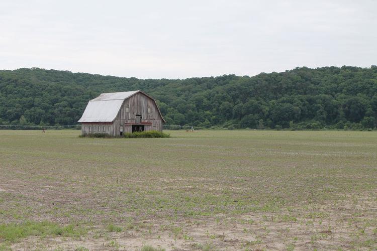 Boone County barn
