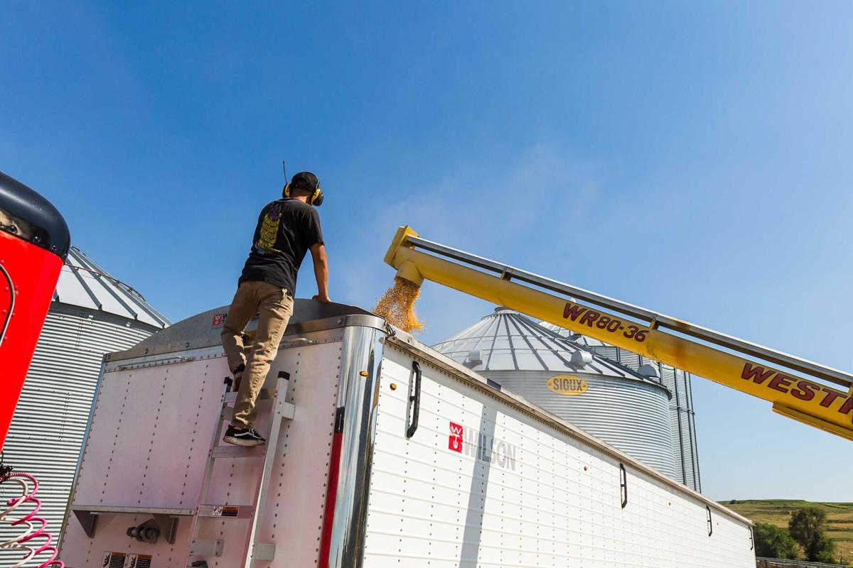 farm worker on semi trailer