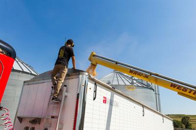 farm worker on semi trailer