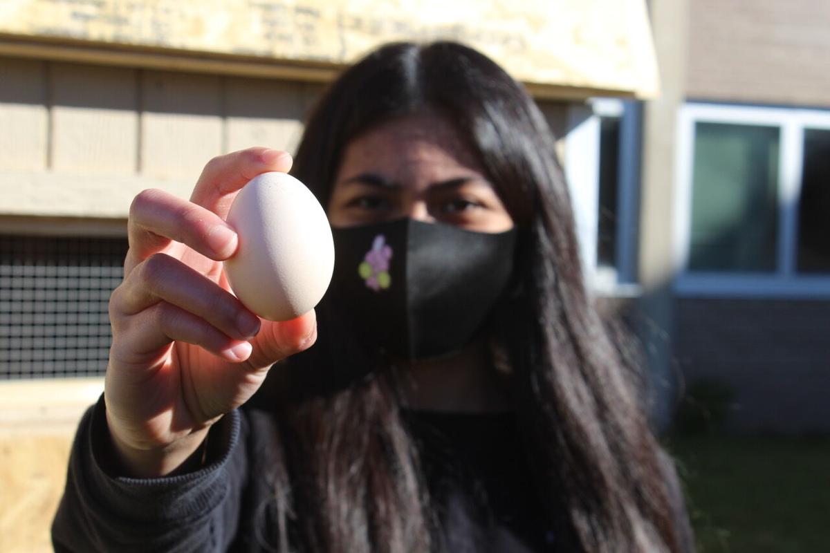 Faribault High School FFA member Ella holds an egg produced by the school’s hen.