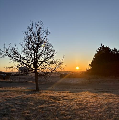 Sandhills Sunrise 2.jpeg