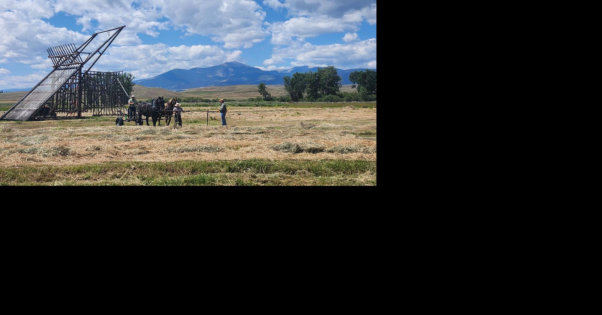 Grant-Kohrs Ranch offers Beaverslide Hay Stacker demo with horses