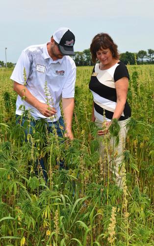 Sheila Harsdorf, right, secretary of Wisconsin Department of Agriculture, Trade and Consumer Protection, examines hemp plants with Bryan Parr