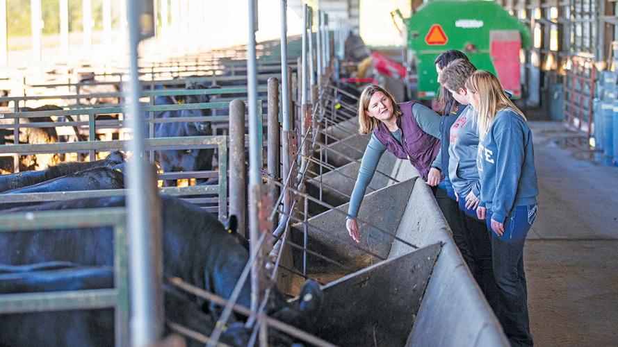 Stephanie Hansen ISU animal science
