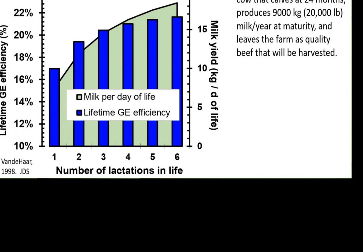 Milk yield and lactations