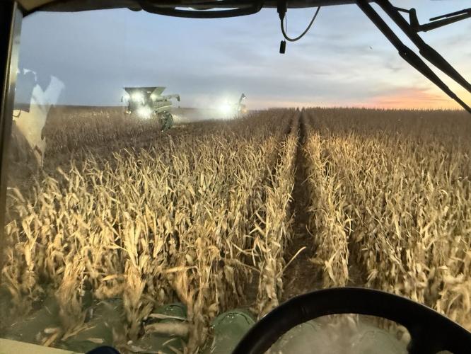 CW Holzwarth (1).jpg