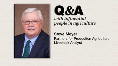 Q & A Steve Meyer