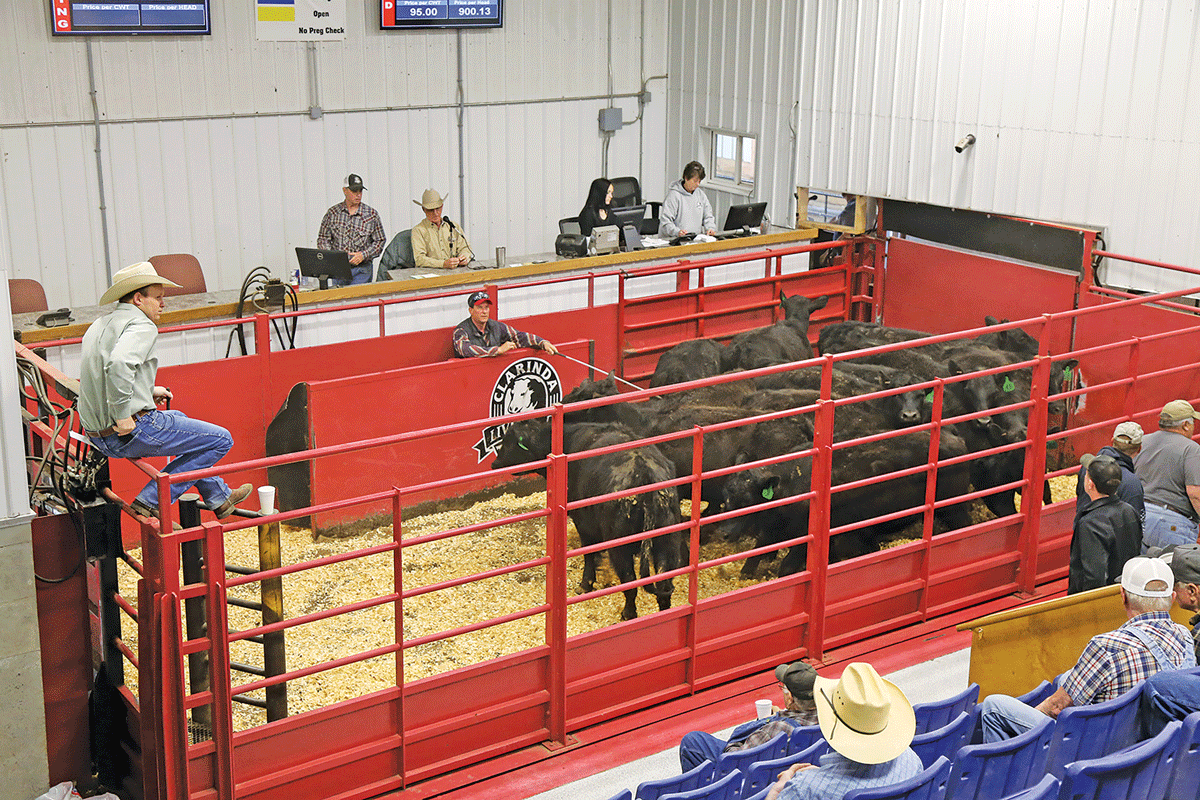 Clarinda Livestock Auction