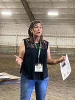 Cattle Eat That (2).jpg