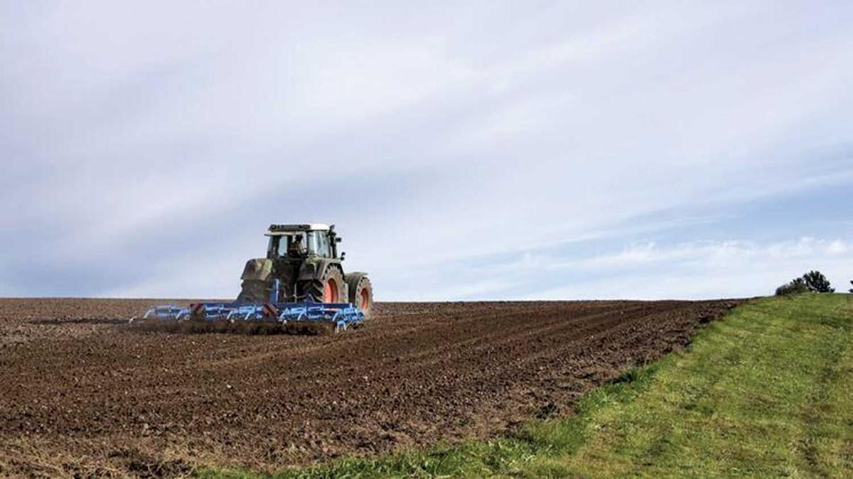 conservation tillage