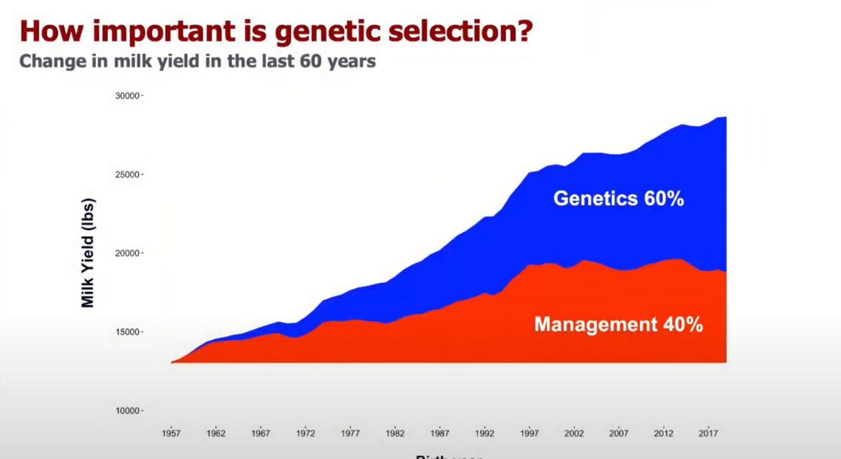 Genetic selection graphic