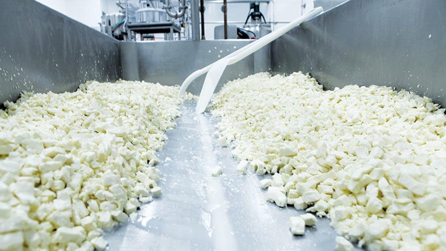 Curds production