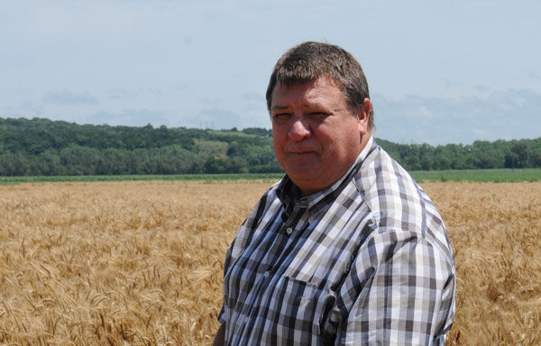 Kansas State University researchers help with landmark study of wild wheat ancestor