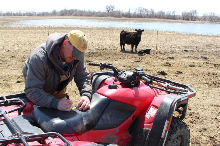 Crop Watcher Wittnebel (10).JPG