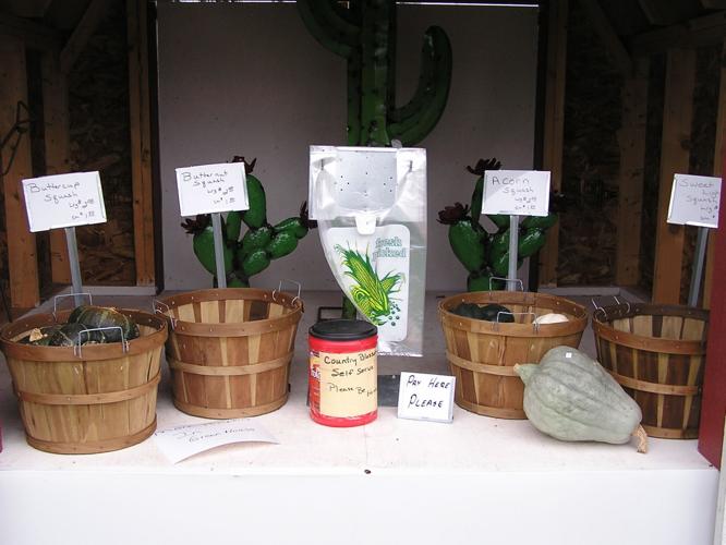 Squash for sale