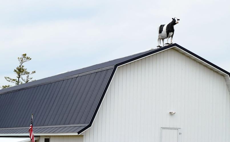 Main barn at Hi-Way Holstein Ranch