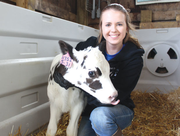 Kohl with calf