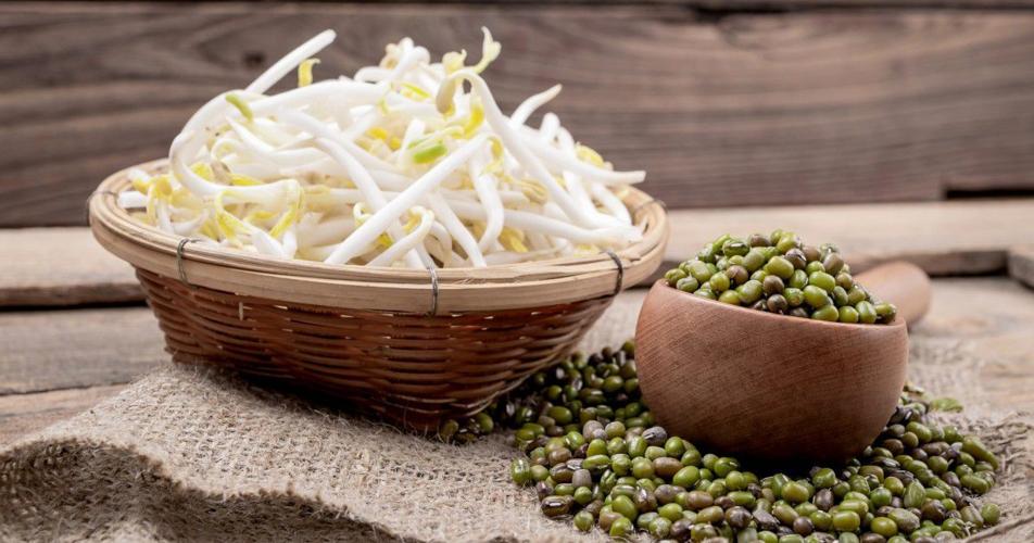 Raw sprouts in bowl