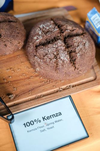 Kernza Field Day