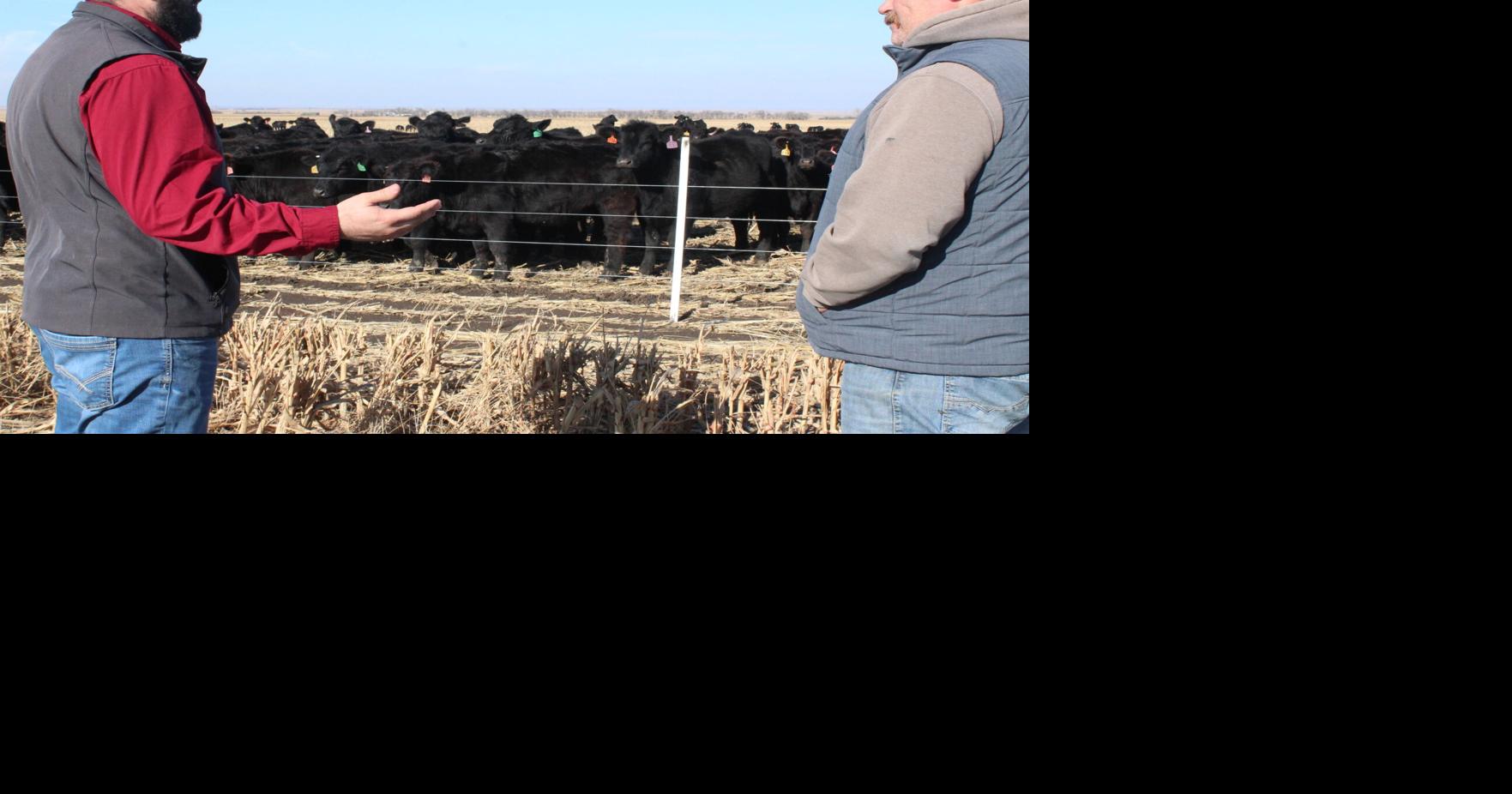 Partnership allows rancher to care for the land, expand cattle herd
