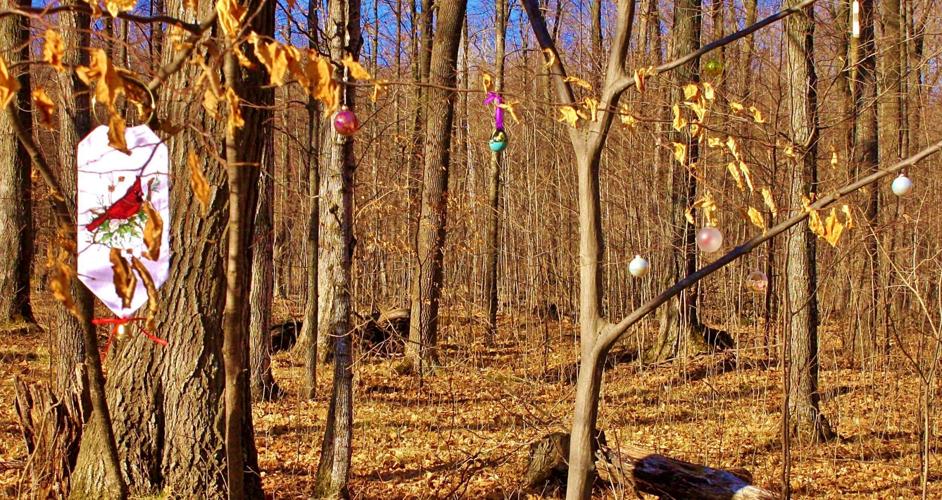 Trees and decorations