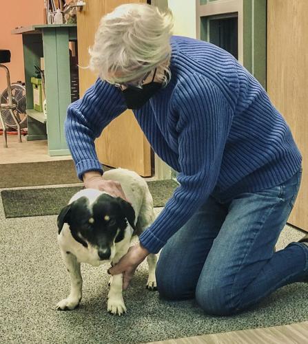 Cottrell with dog