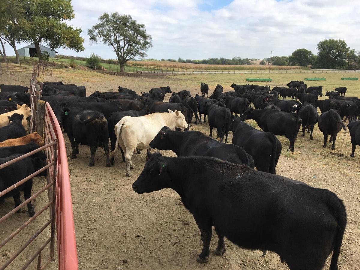 Weaning