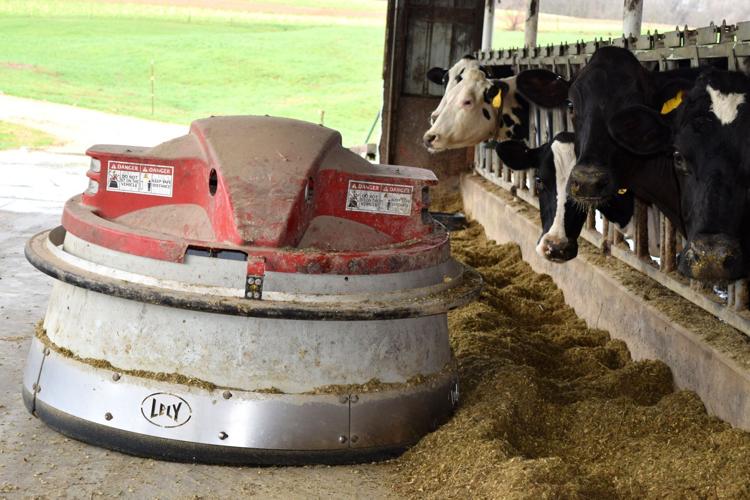 Feed pusher in freestall barn