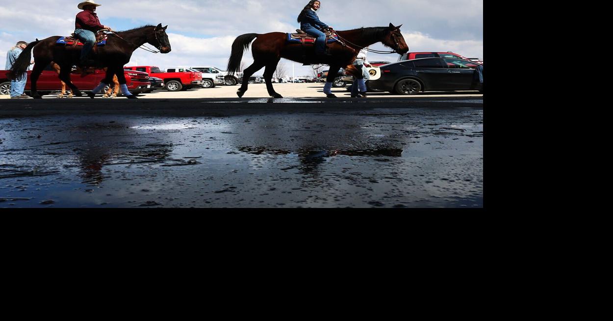 Horses celebrated in annual fair