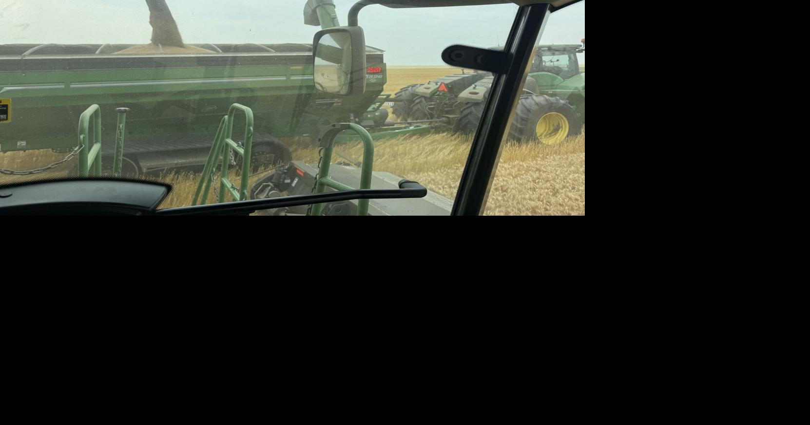 Much-needed rains come at optimal time for corn, beans in central S.D.