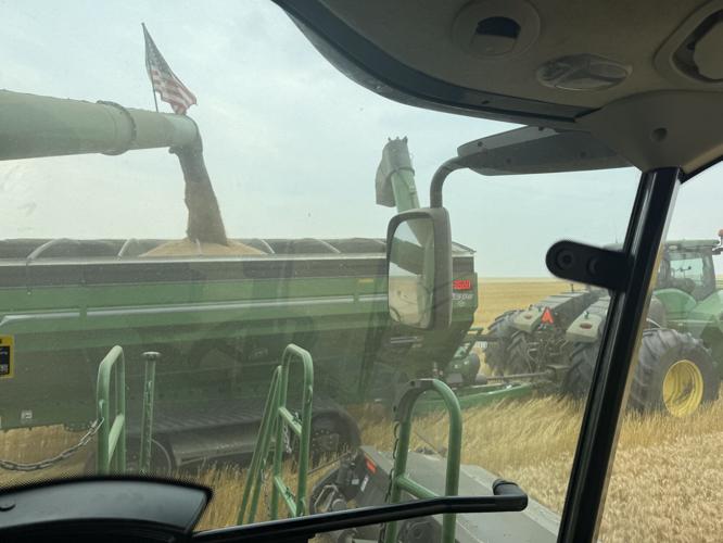 CW Holzwarth (1).jpg