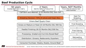 Cycle
