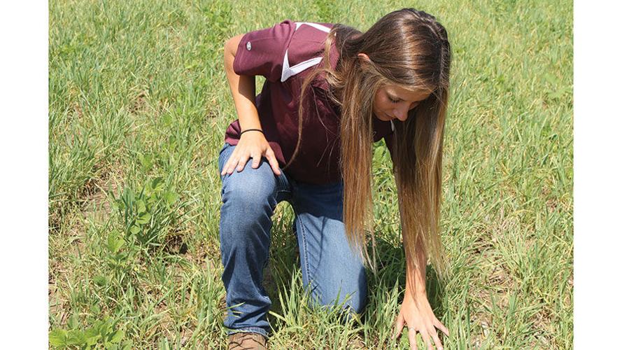 Madison Decker