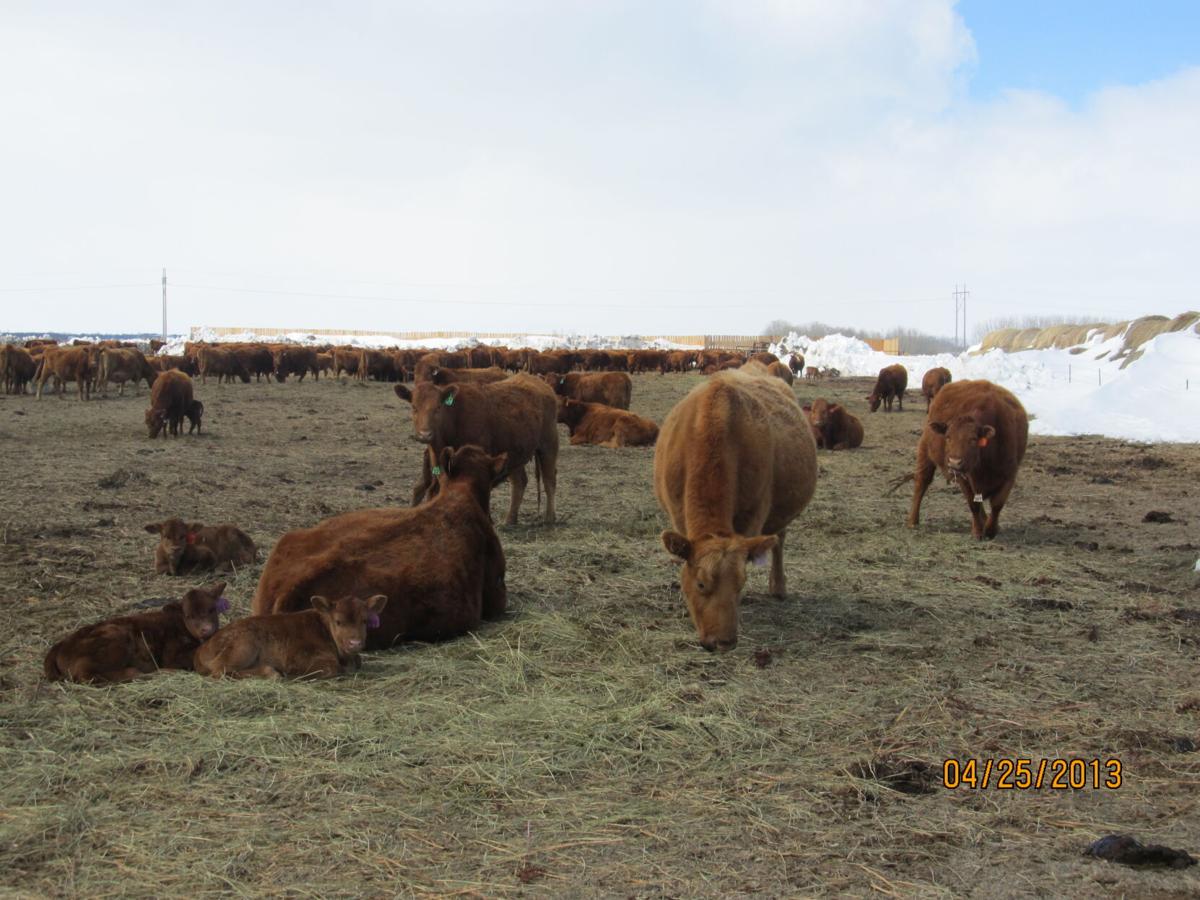 ‘Ranching for Profit’ opportunities coming soon