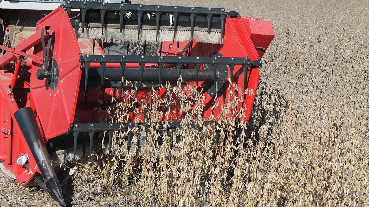 University of Missouri researcher harvests a field of soybeans